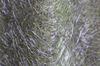 Chantry fibreglass roof work